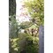 mini photo