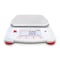 mini photo