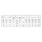 mini photo