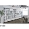 mini photo