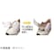 mini photo