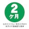mini photo
