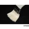 mini photo