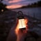 mini photo