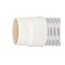 mini photo