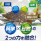 AG[@oCITCGX@WF@