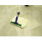 Rh@[OoCtNW
