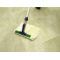 Rh@[OoCtNW