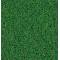 nCyA}bg
