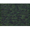 NX}bg