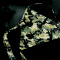 NCjO`FAIxtbgXg