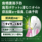 fB[vN[@pt̃n~KL