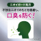 fB[vN[@pt̃n~KL