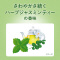 fB[vN[@pt̃n~KL