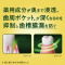 fB[vN[@pt̃n~KL