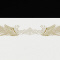 ܏p@@POO