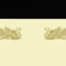 ܏@N[@}[Np@POO