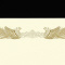 ܏p@v^[@hiEko@PO