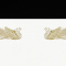 ܏p@POO