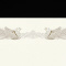 ܏p@POO
