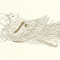 ܏p@POO