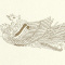 ܏p@POO