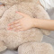 ʂ݁@܁@TO