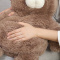 ʂ݁@܁@TO
