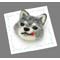 n`u[`EʃobWp䎆