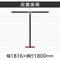 `abp[eBV@ȈՃCAEgZbg@ubNt[@ؖڕi`@PPOO