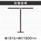 `abp[eBV@ȈՃCAEgZbg@ubNt[@ؖڕuE@PPOO