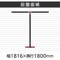 `abp[eBV@ȈՃCAEgZbg@ubNt[@ؖڕuE@PUOO