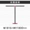 `abp[eBV@ȈՃCAEgZbg@ubNt[@@PUOO