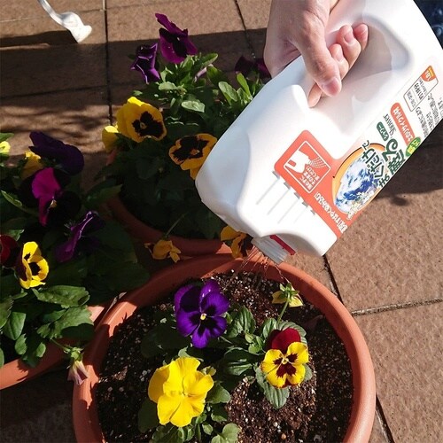 まくだけで甦る