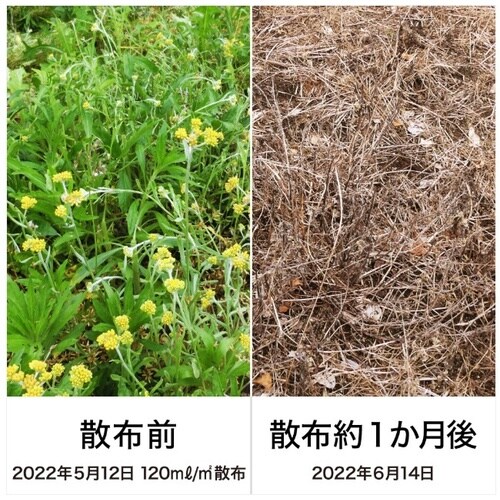 農薬 ネコソギシャワーV6