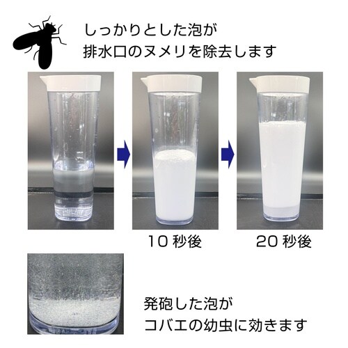 排水口コバエ退治+α