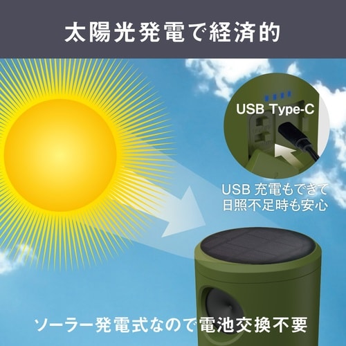 ソーラー猫しっし