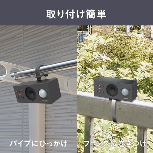 ソーラー鳥しっし