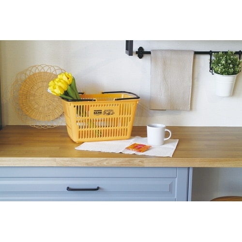 ミニエコバスケット