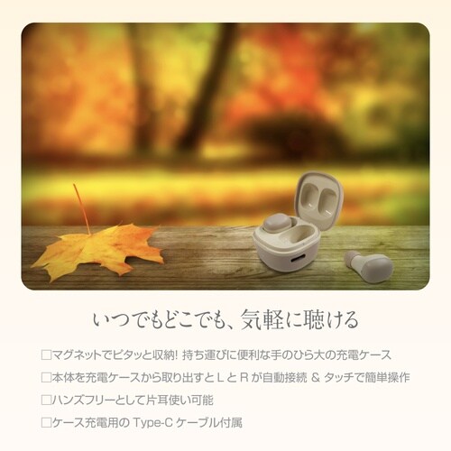 ステレオイヤホン