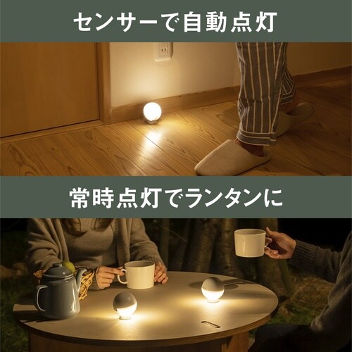 センサーライト