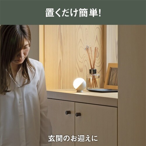 センサーライト