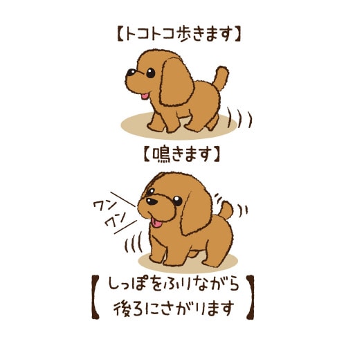 セット済 トコトコあるくよ なかよしプードル