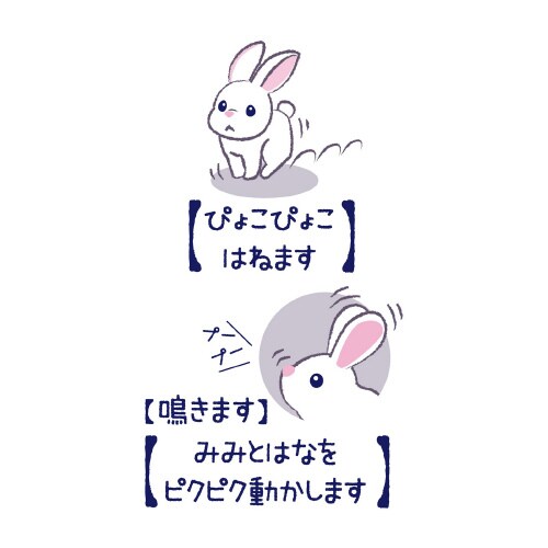 セット済 ぴょこぴょこはねるよフワフワうさちゃん