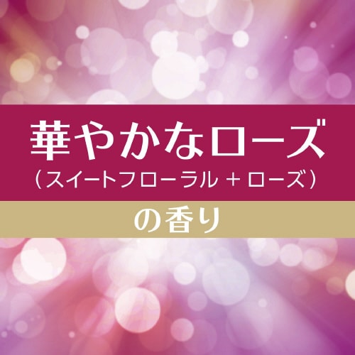 スッキーリ!お部屋用華やかなローズ
