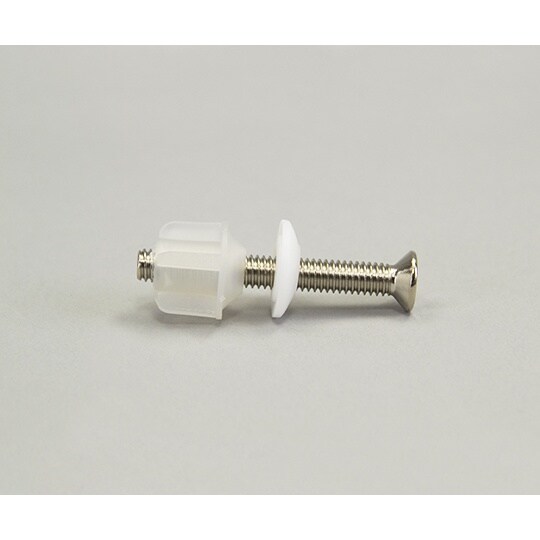 8500,8600他用太ネジ2本