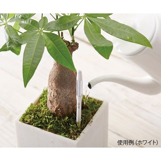 C−0013 GR 水やりチェッカー