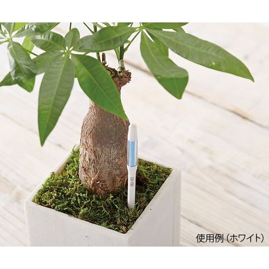 C−0013 GR 水やりチェッカー