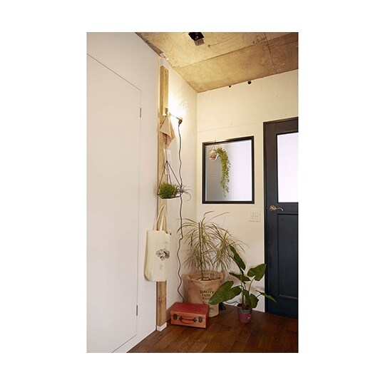 DXO−1 2×4アジャスタオフホワイト