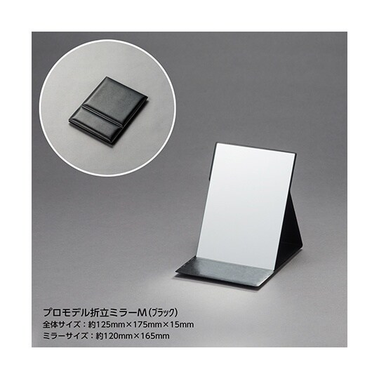 HP−22 プロモデル折立ミラー